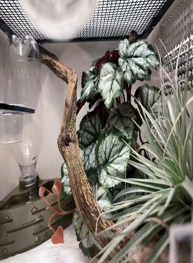 KERUIDENG Reptile Plants for Terrarium Decor,Amphibian Habitat Decor,Artificial Plants for Gecko Chameleon Snake Tortoise Tank Accessories with Base (Green heuchera micrantha) - Image 3